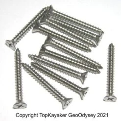 Stainless Steel Gunwale Screws, 1.5 Inches